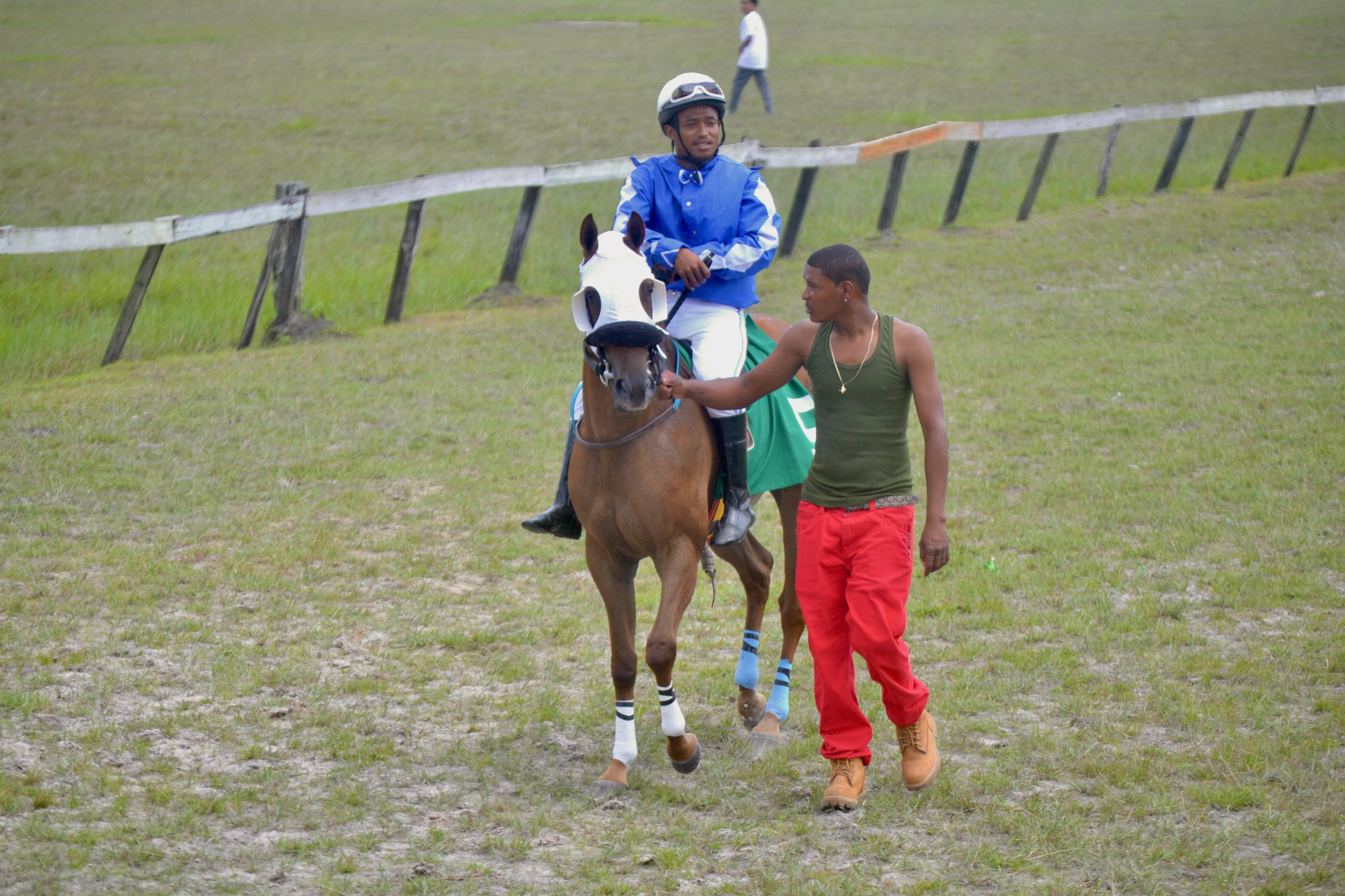 https://horseracingbelize.com/Jada's Choice