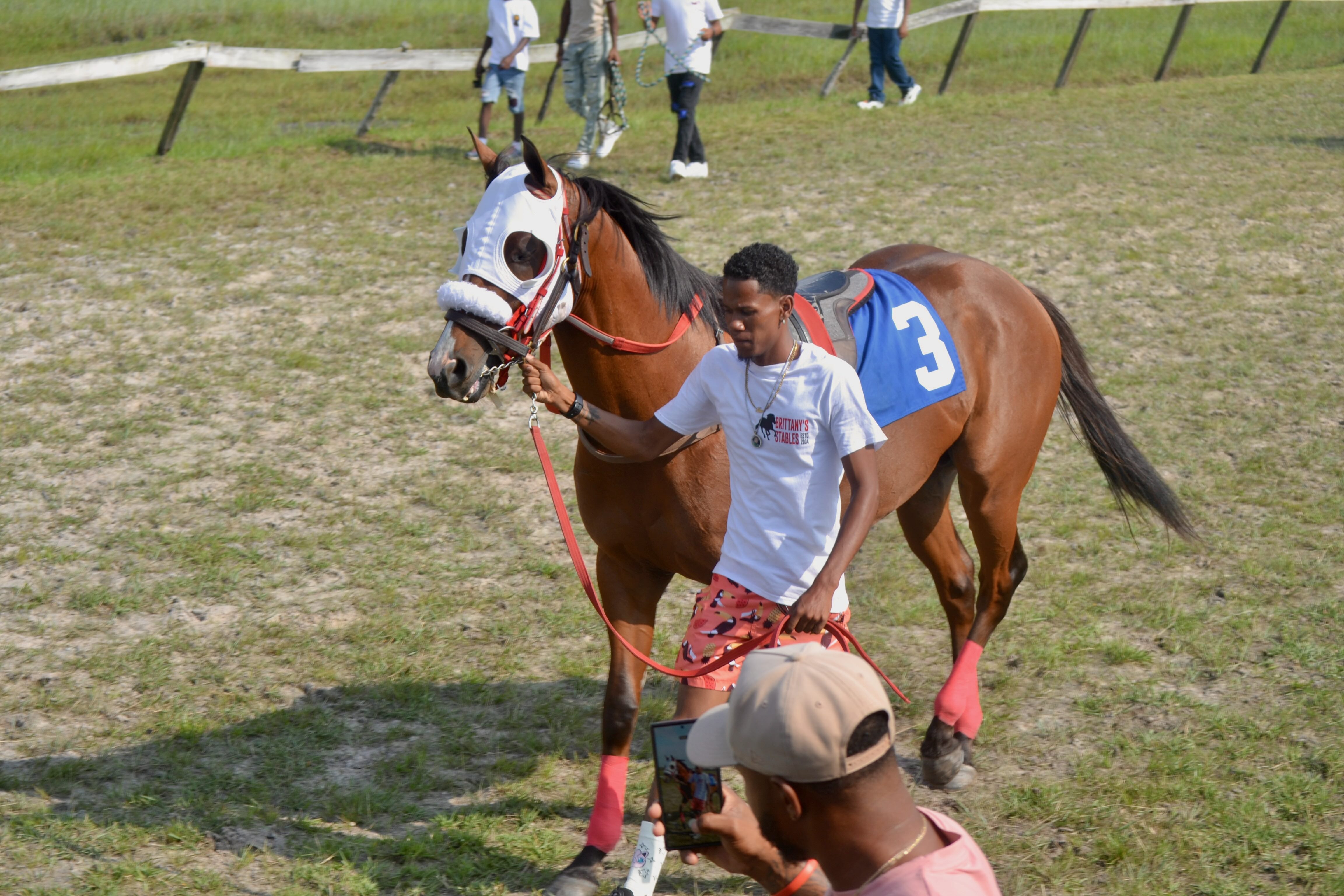 https://horseracingbelize.com/Mischief Maker