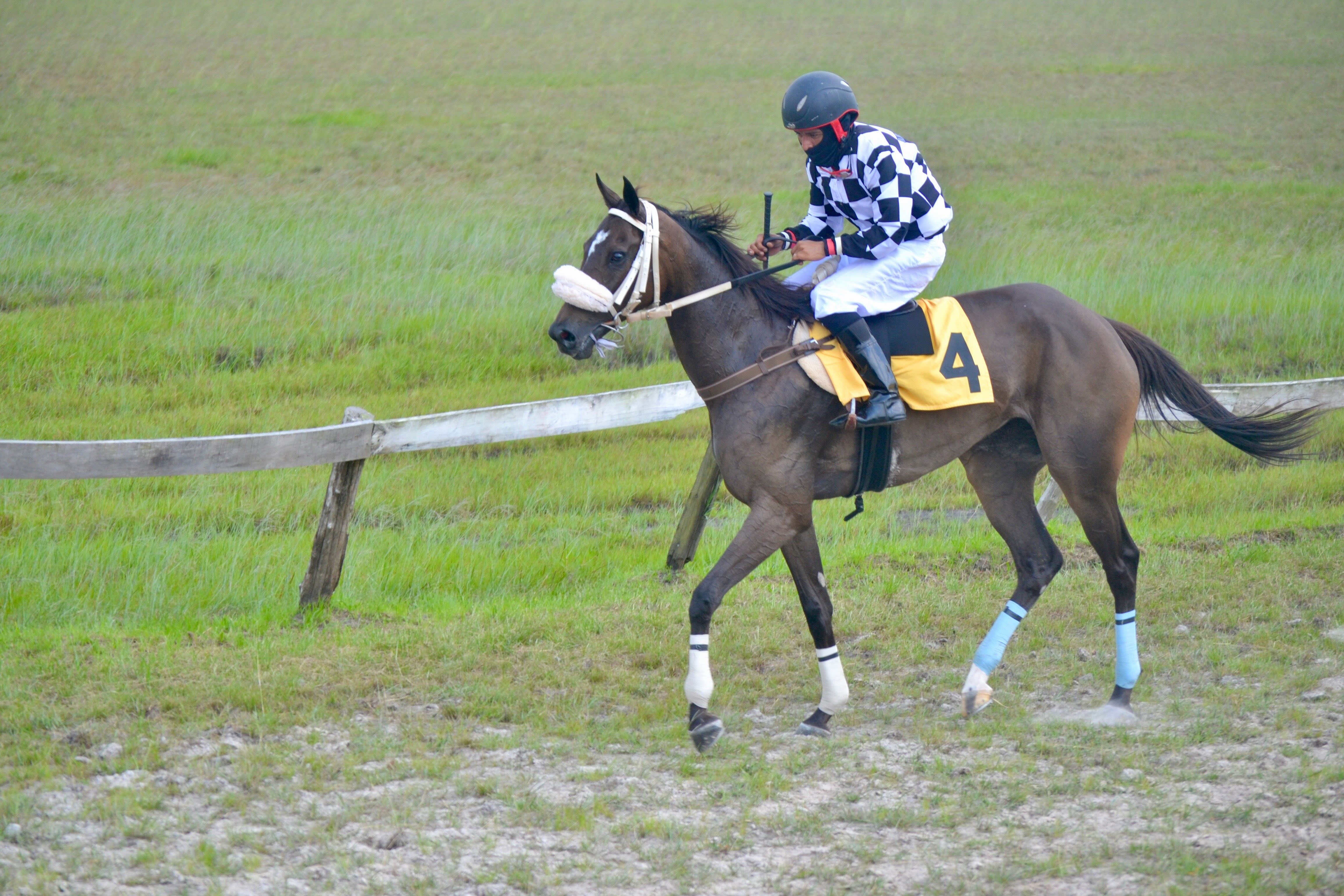 https://horseracingbelize.com/Overboard