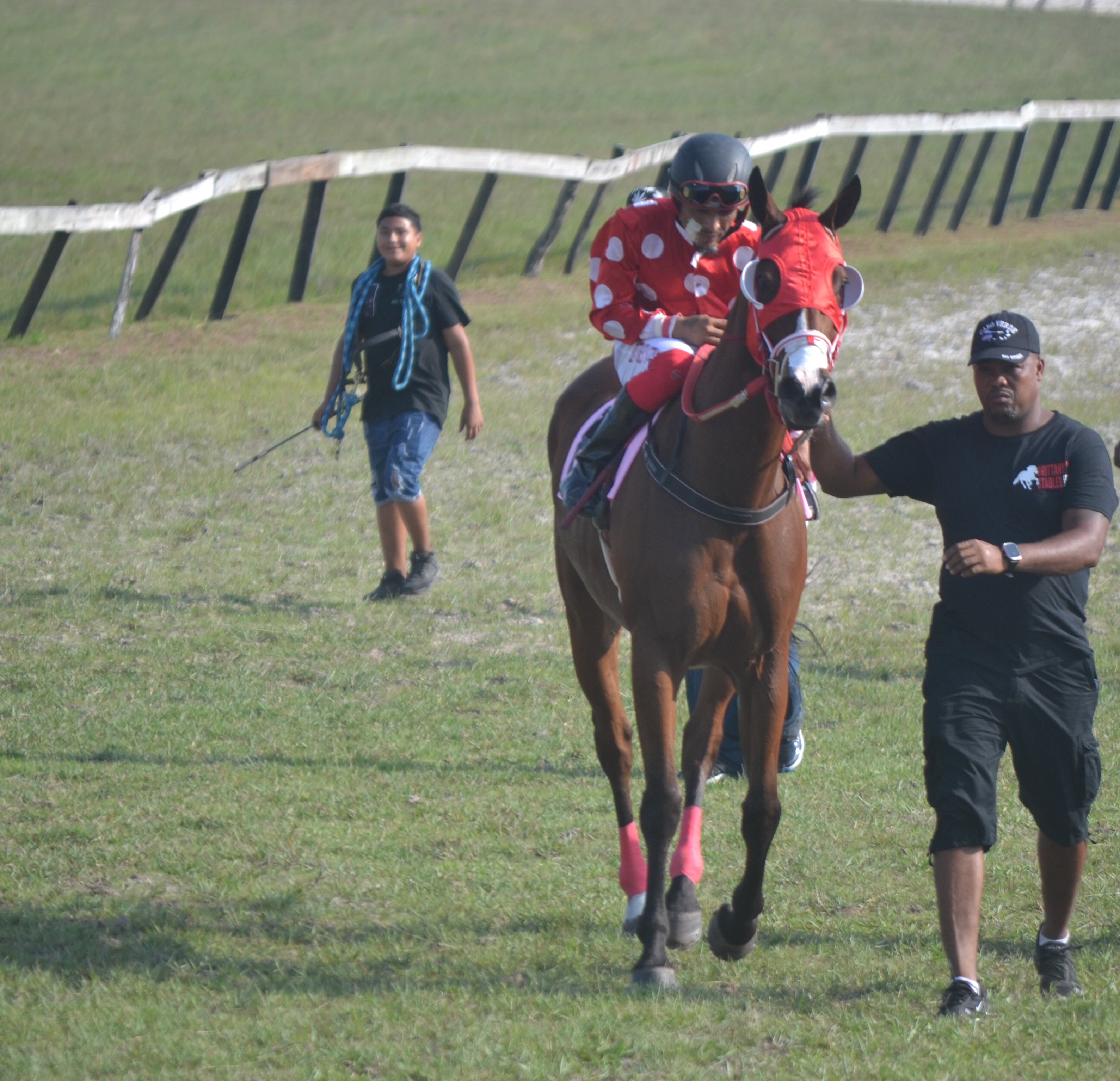 https://horseracingbelize.com/Party Gal