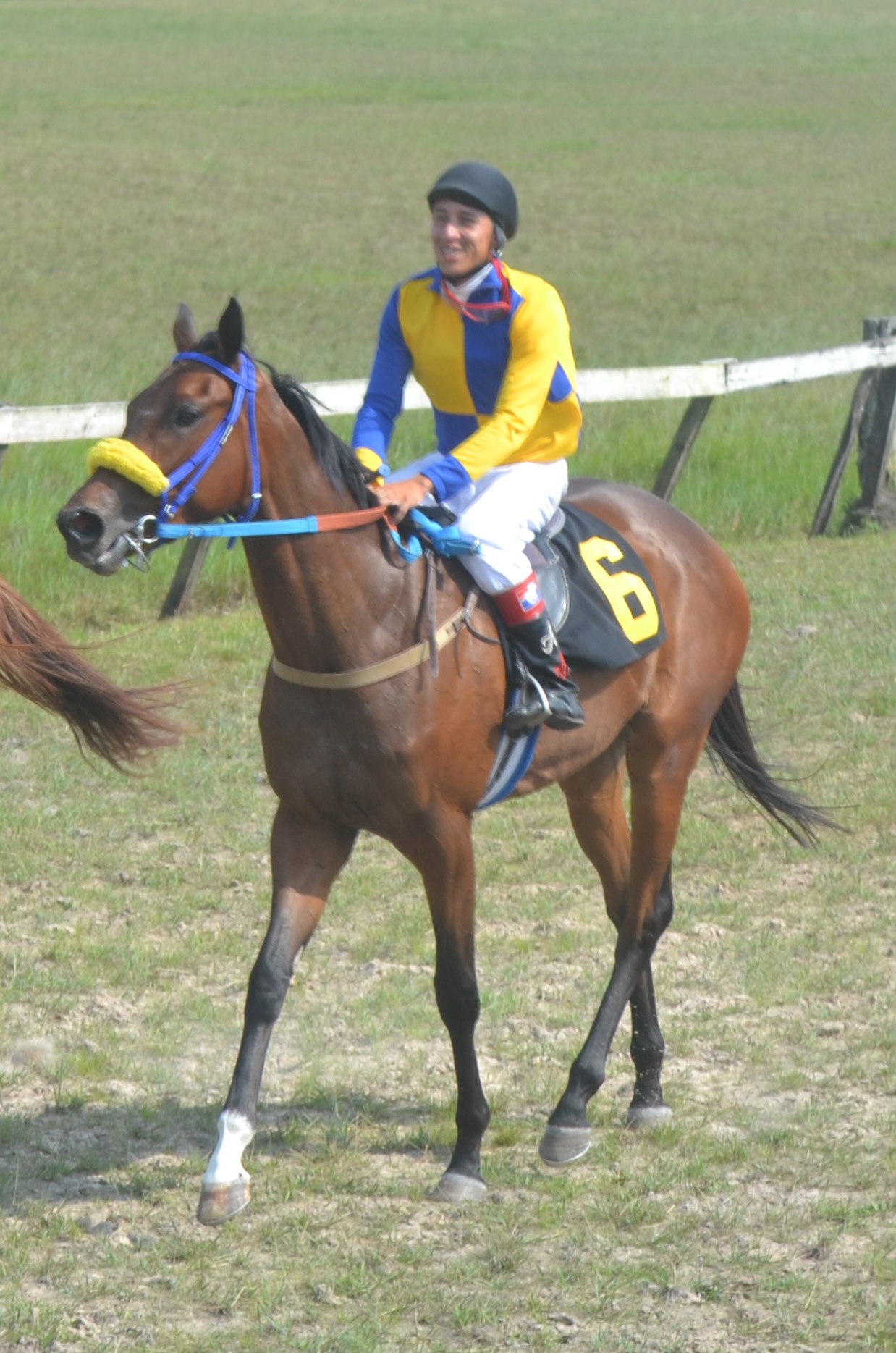 https://horseracingbelize.com/Princesa D'Oro