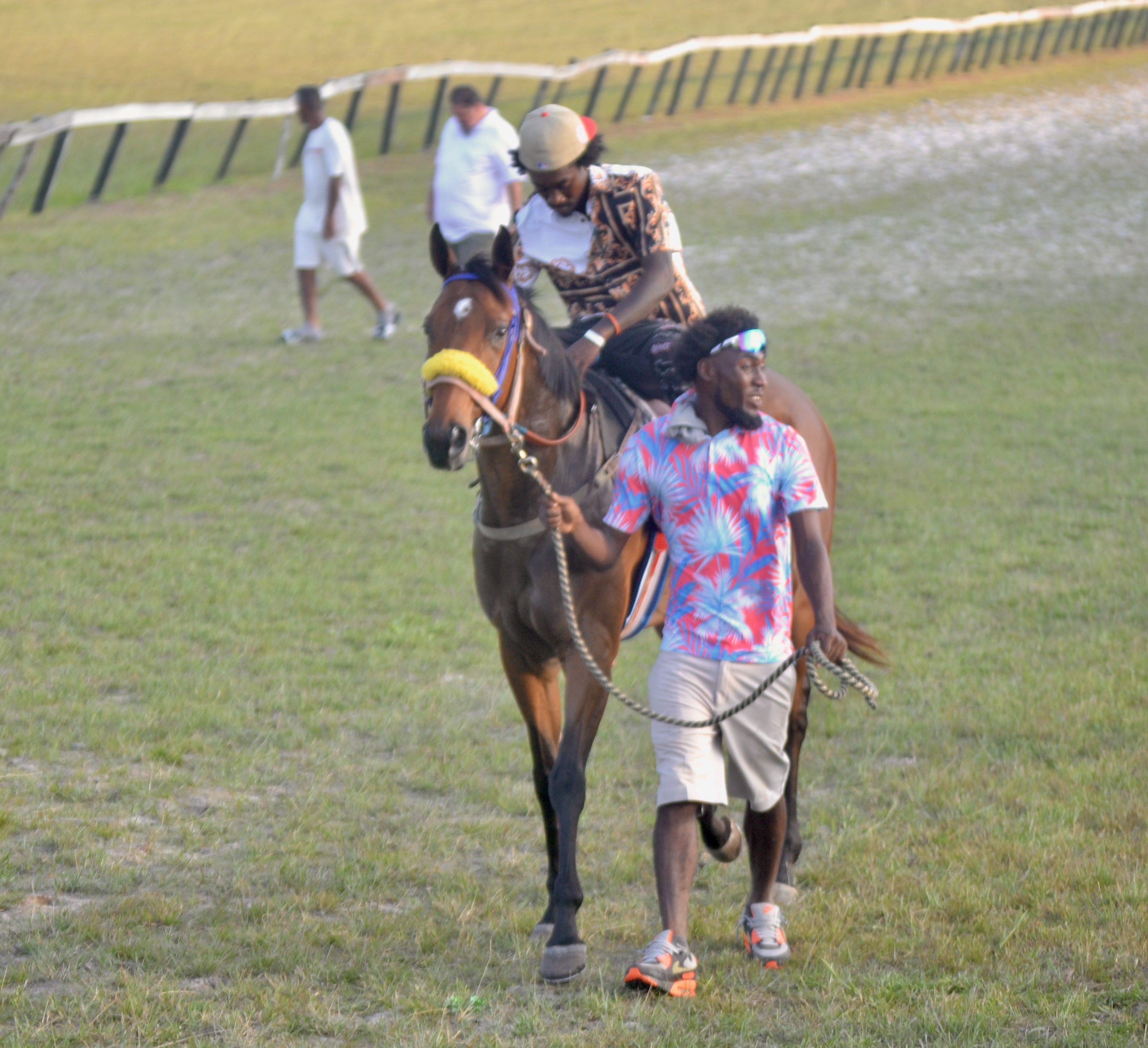https://horseracingbelize.com/Ranging City Moon