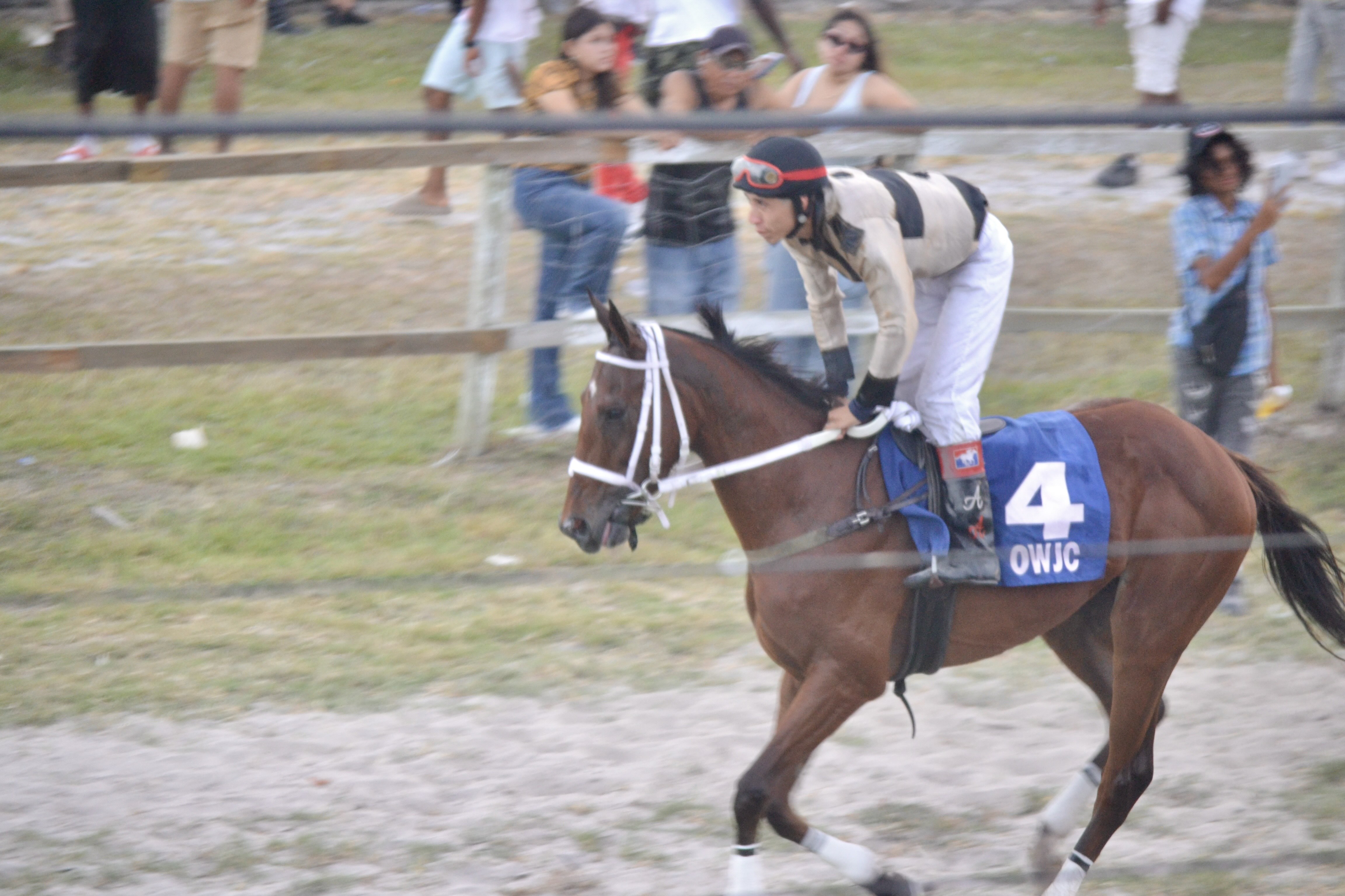 https://horseracingbelize.com/Revelation