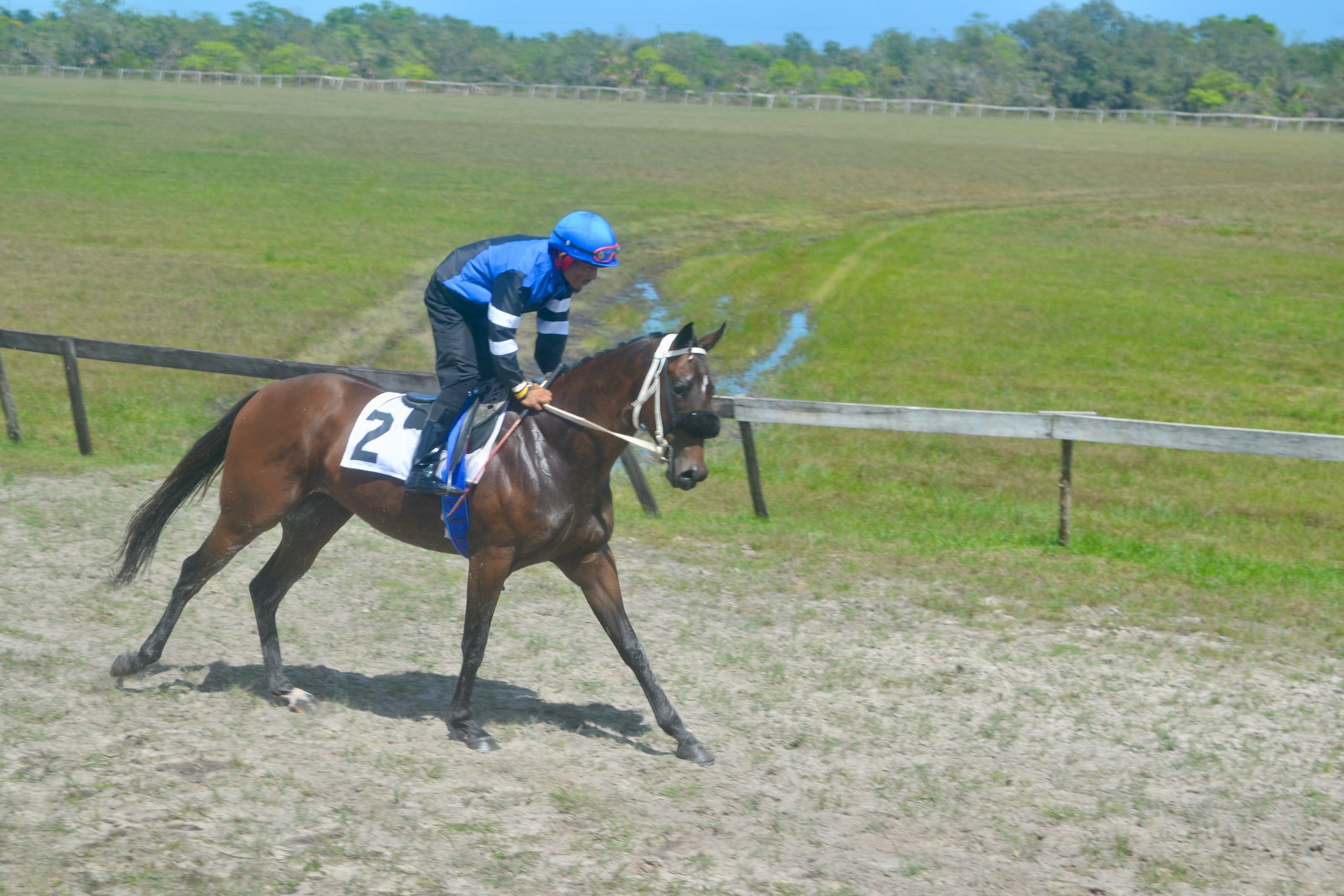 https://horseracingbelize.com/Silent Creek