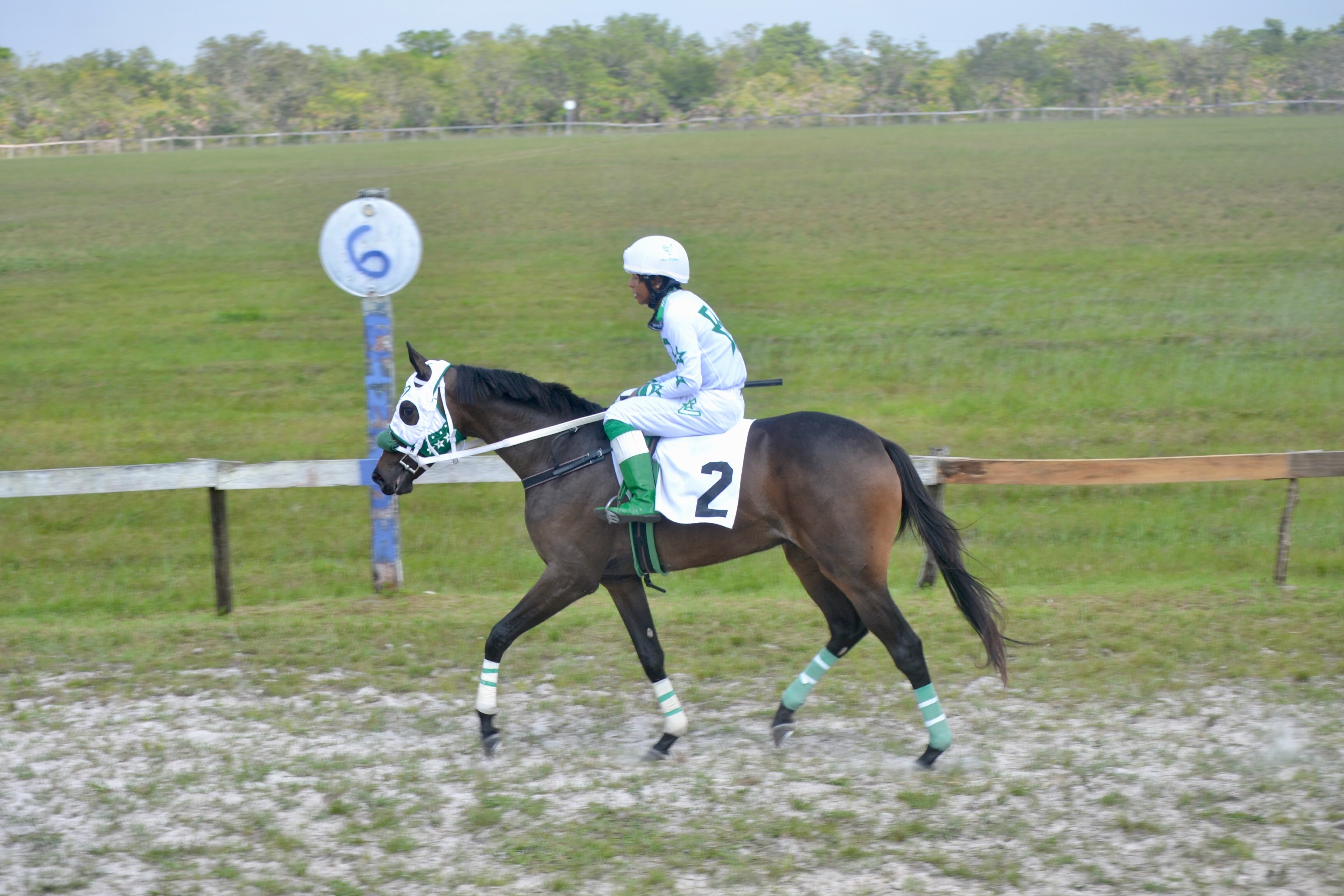https://horseracingbelize.com/Simply Vik