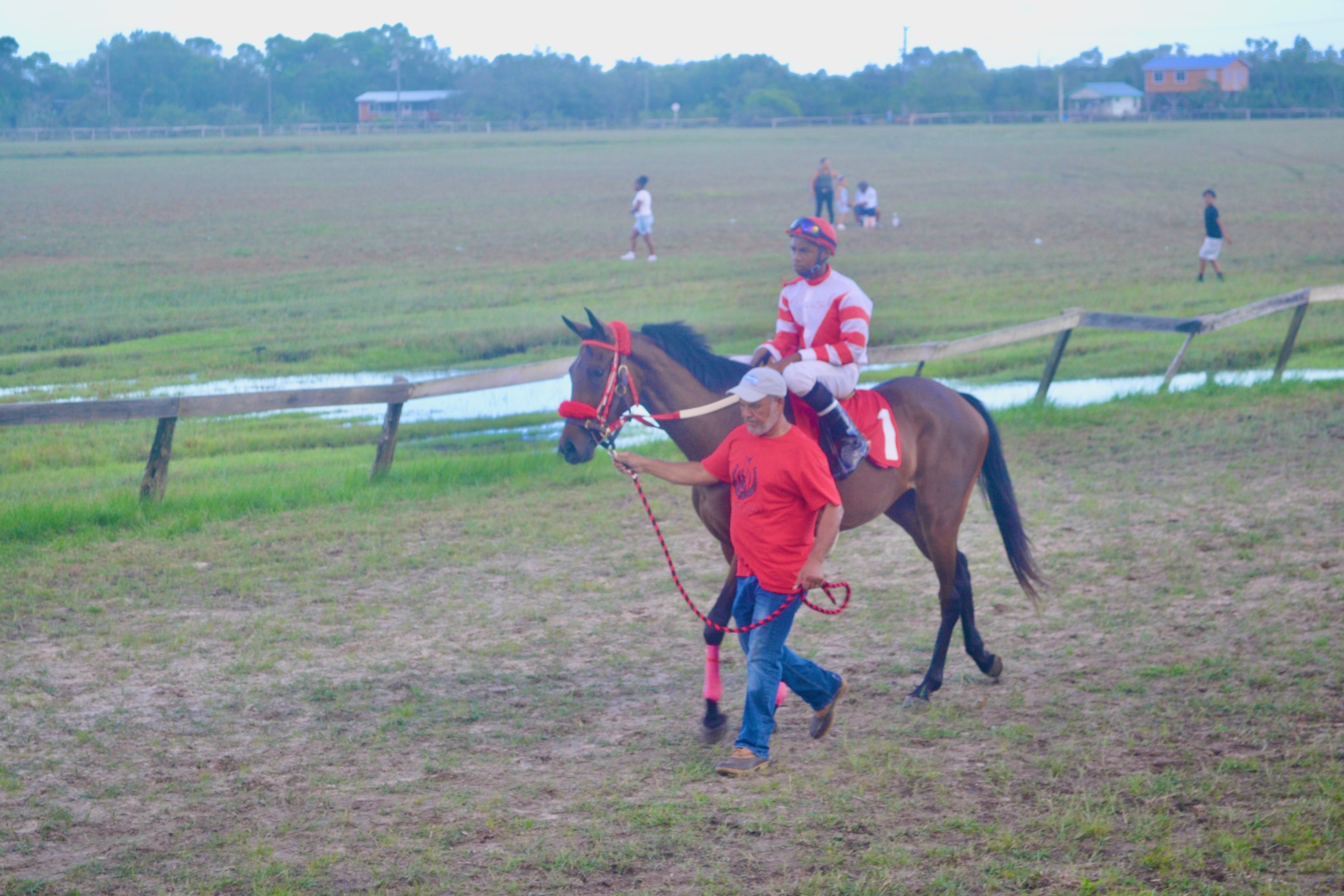 https://horseracingbelize.com/Topaz