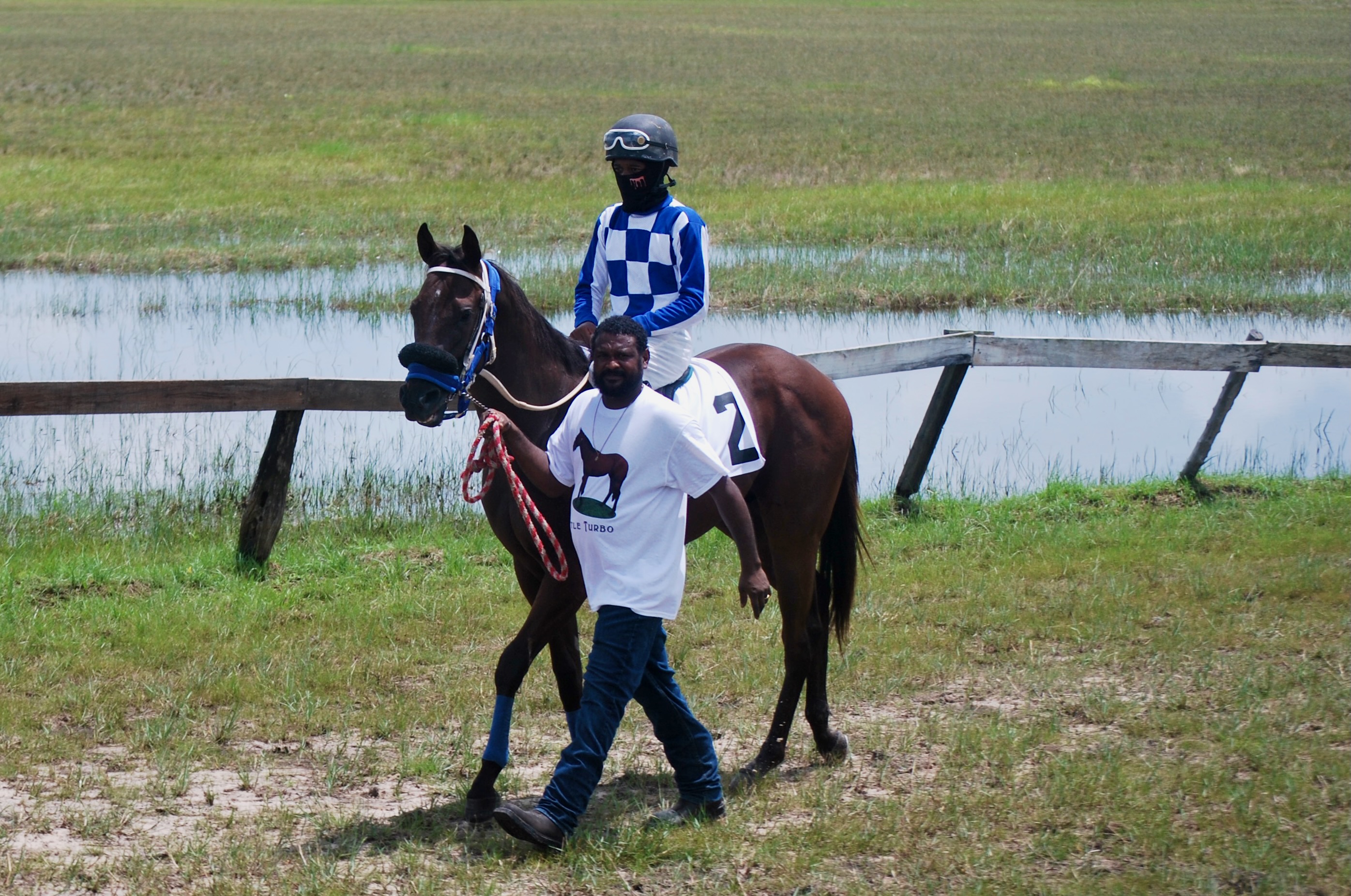 https://horseracingbelize.com/Turbo