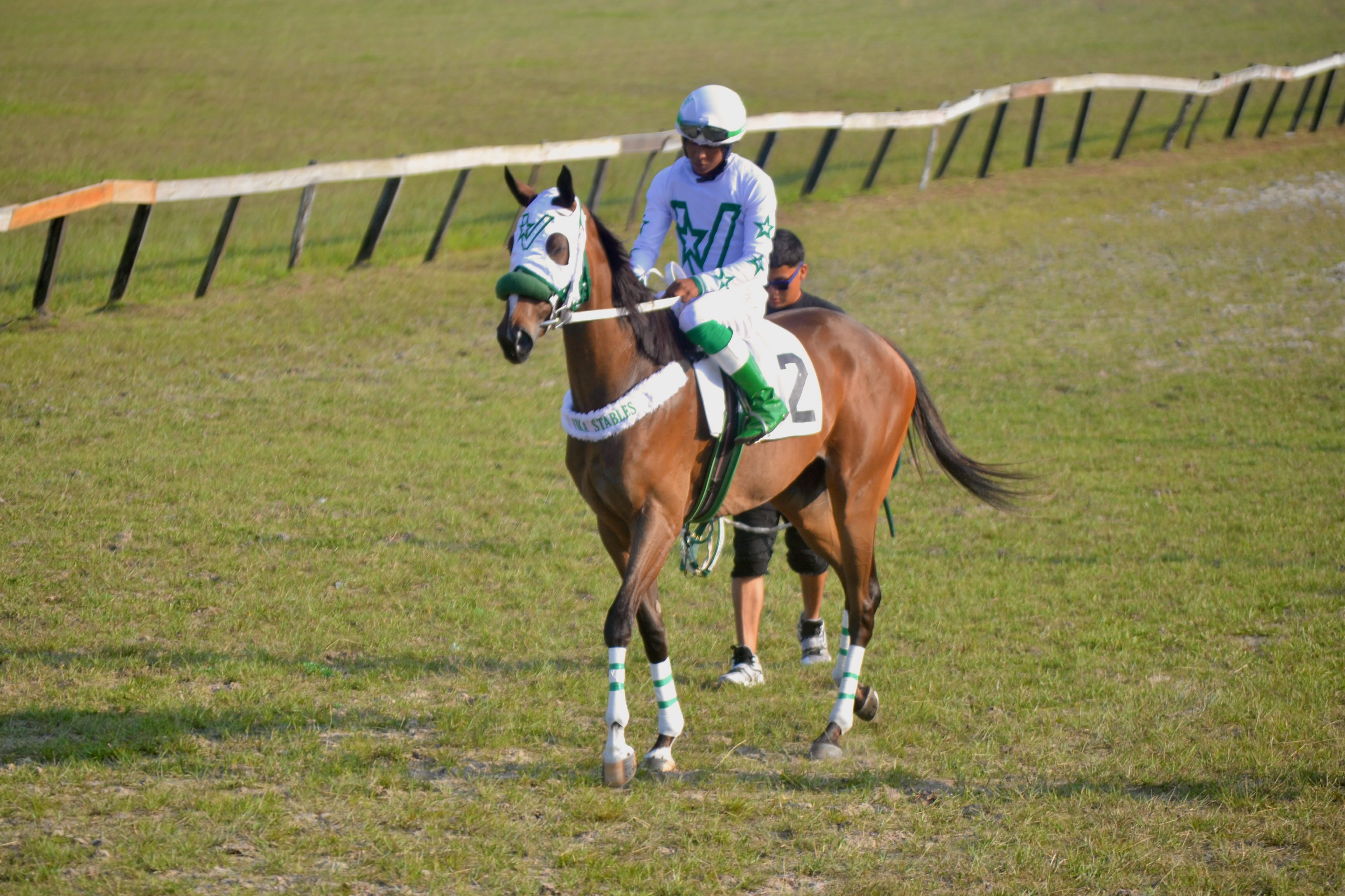 https://horseracingbelize.com/Vik D Trik